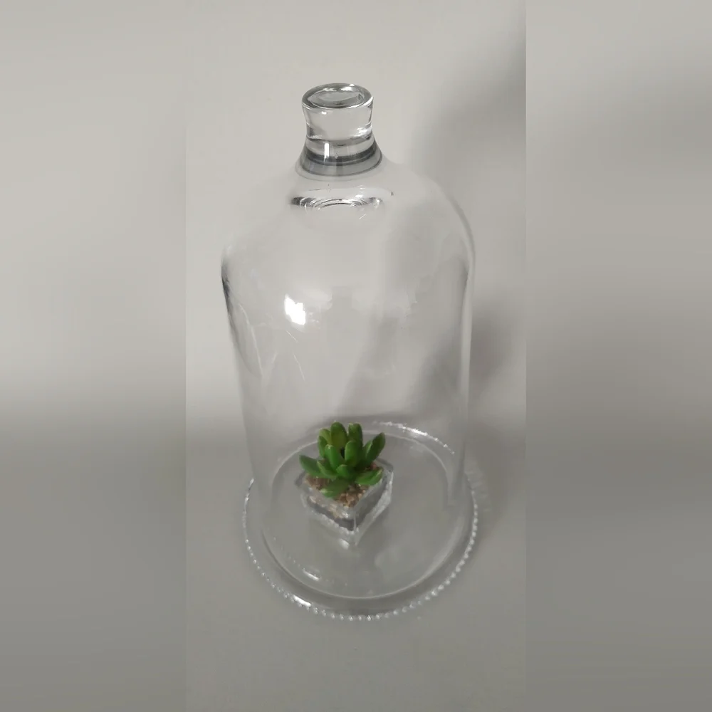 Hearth & Hand Magnolia Glass Dome Cloche With Box 12 Inch New decor New